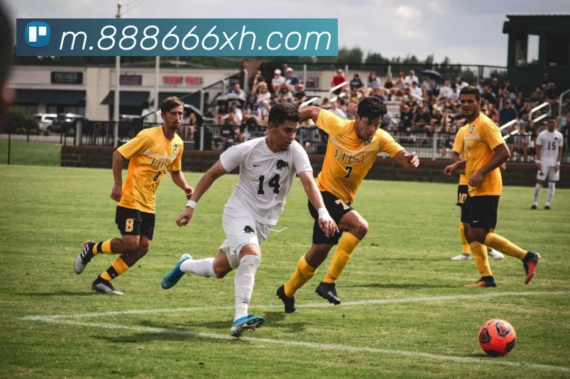 核心证书